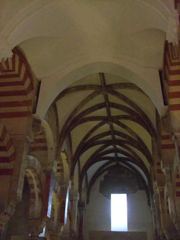 Anadalusien 2009 - 0300 